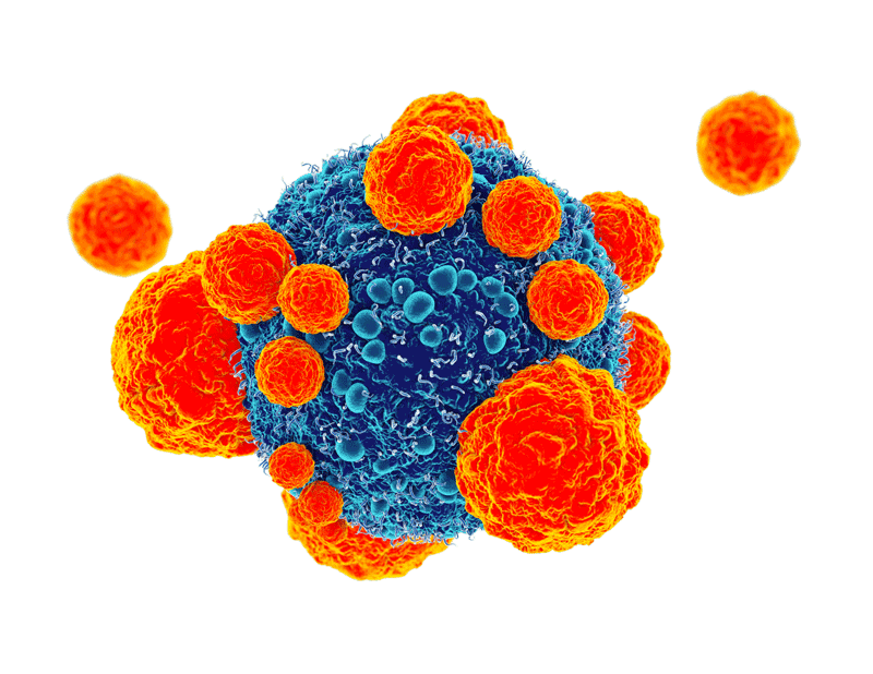 Microscopic biological target visual for therapeutic assay areas
