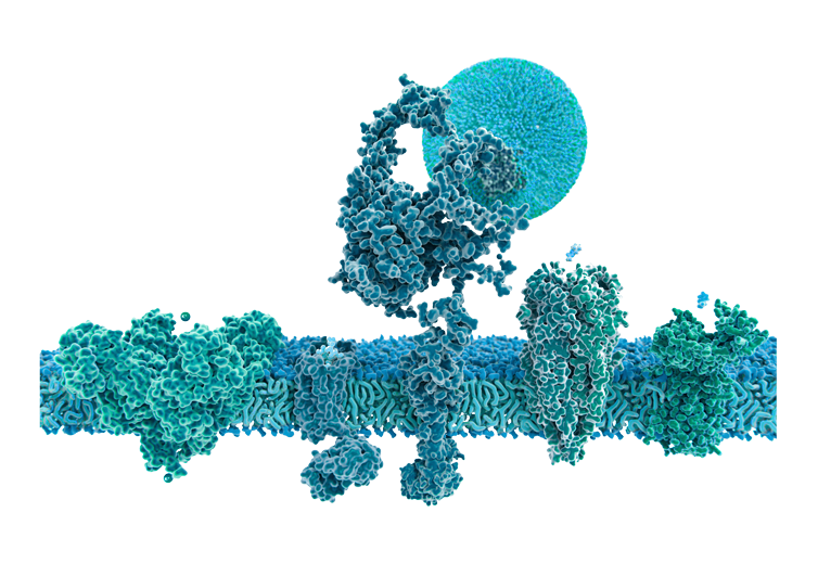 Cellular biology visual for life sciences assay applications