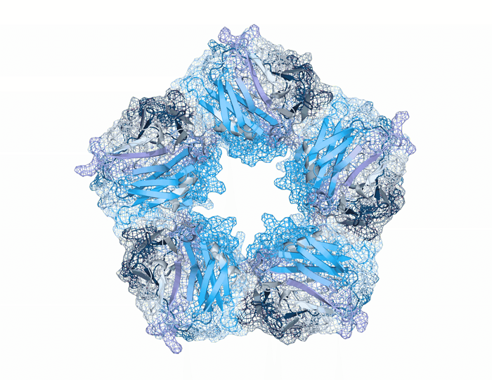 Biological systems visual for target biology assay access