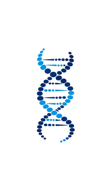 Life sciences laboratory assay workflow