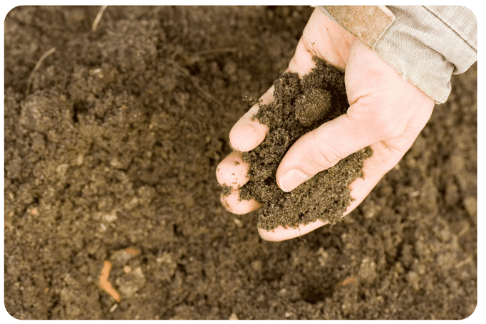 Soil sample visual for agricultural testing requirements